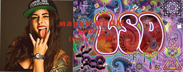 PSILOCYBIN Баксан