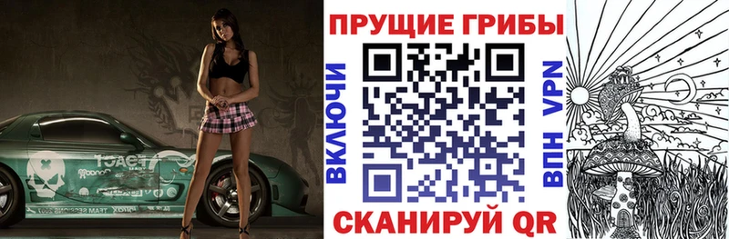 Галлюциногенные грибы GOLDEN TEACHER  Купить закладки  Кизляр 